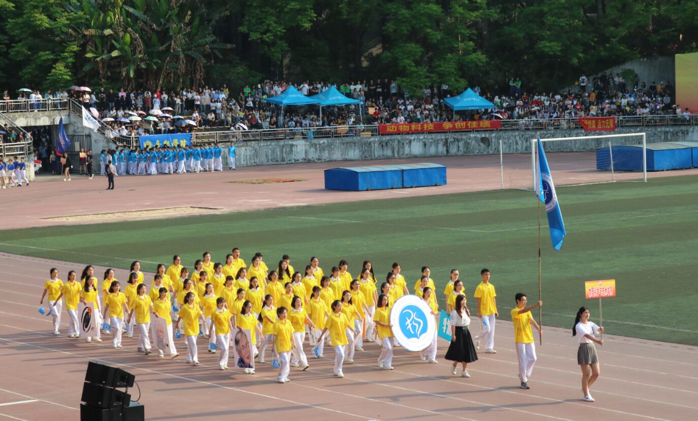 04.jpg